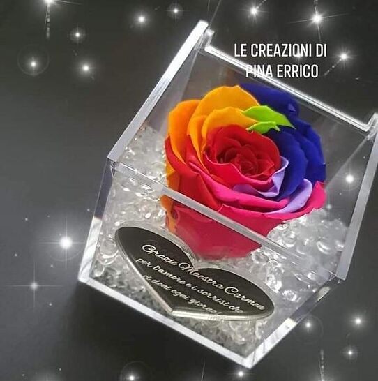 Rosa stabilizzata multicolor in cubo 10x10 cm con dedica